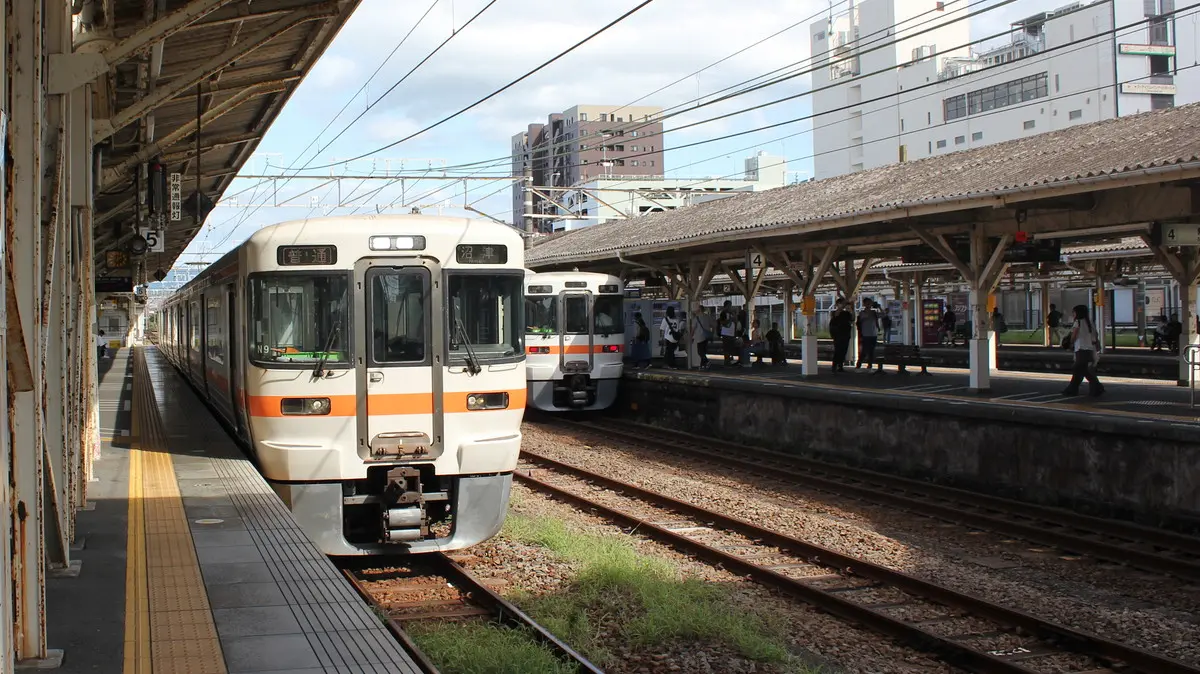 Gotemba Line 313 series train arriving at Numazu Station
