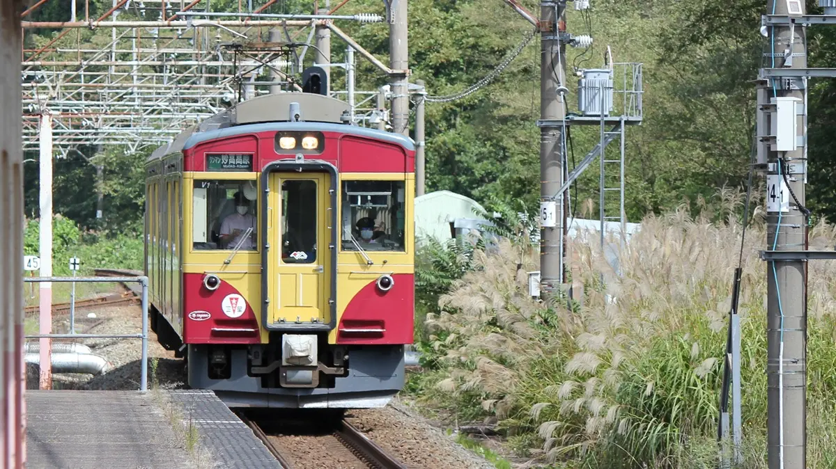 Myoko Haneuma Line E127 series train painted in Niigata colors