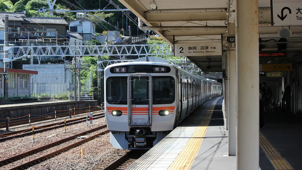 Tokaido Line 315 series 3000 train arriving at Kanaya Station