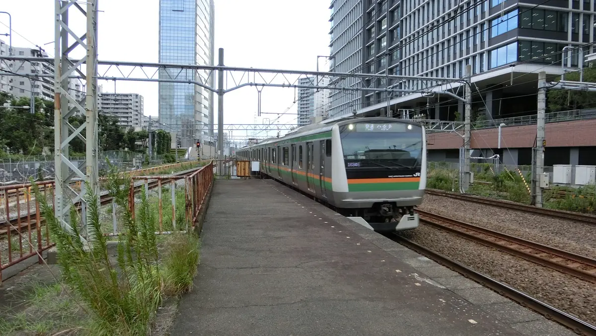 Tokaido Line E233 series train arriving at Kawasaki Station