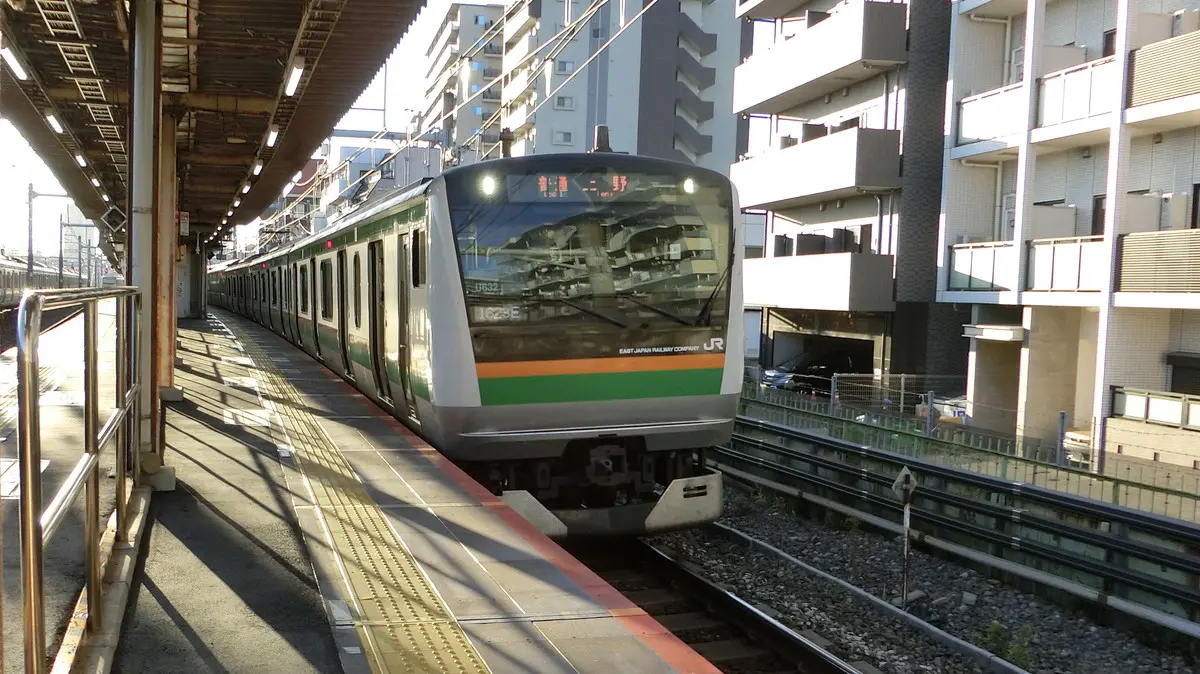 JR Utsunomiya Line E233 series 3000 train parked at Oku Station